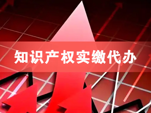 茂名知识产权实缴资本代办